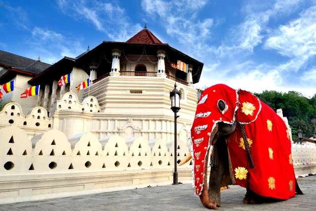 Paththirippuwa