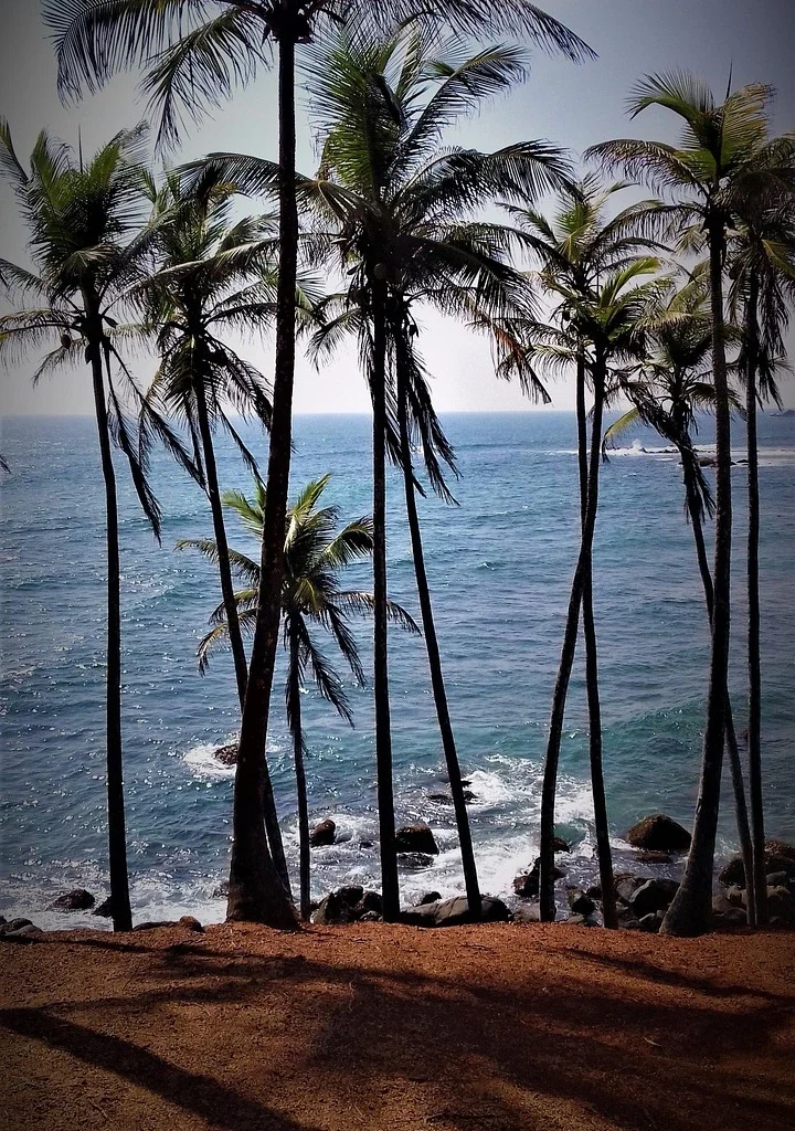 srilanka-beach